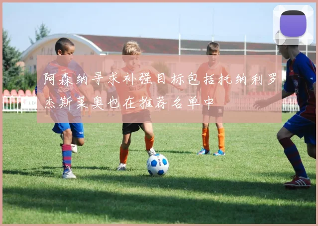 阿森纳寻求补强目标包括托纳利罗杰斯莱奥也在推荐名单中
